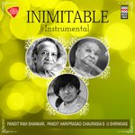 Inimitable - Instrumental - Pratibha Song Download